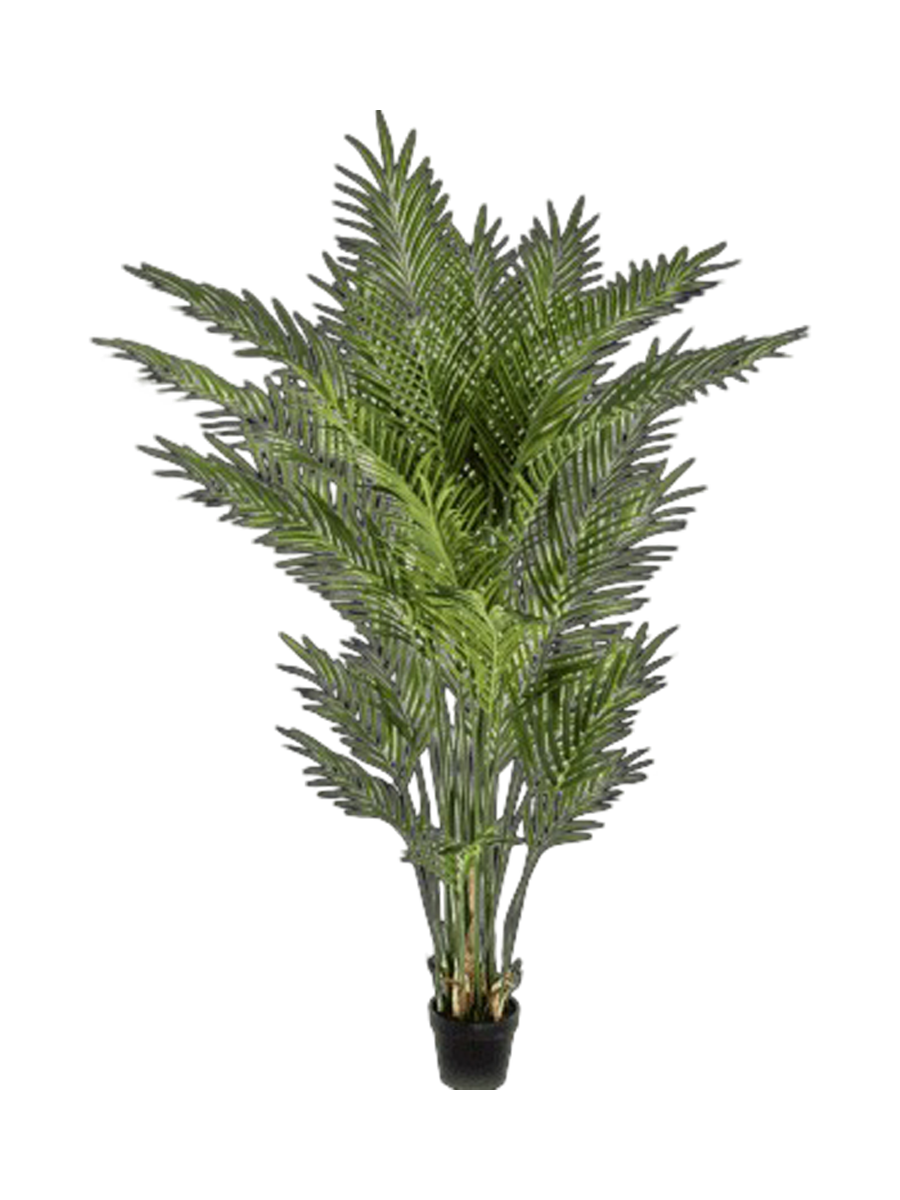 
Pianta artificiale dall'aspetto realistico «Areca Bush», diverse dimensioni - Ø 120 x 170 cm