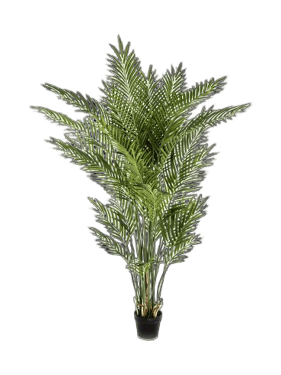 
Pianta artificiale dall'aspetto realistico «Areca Bush», diverse dimensioni - Ø 140 x 205 cm