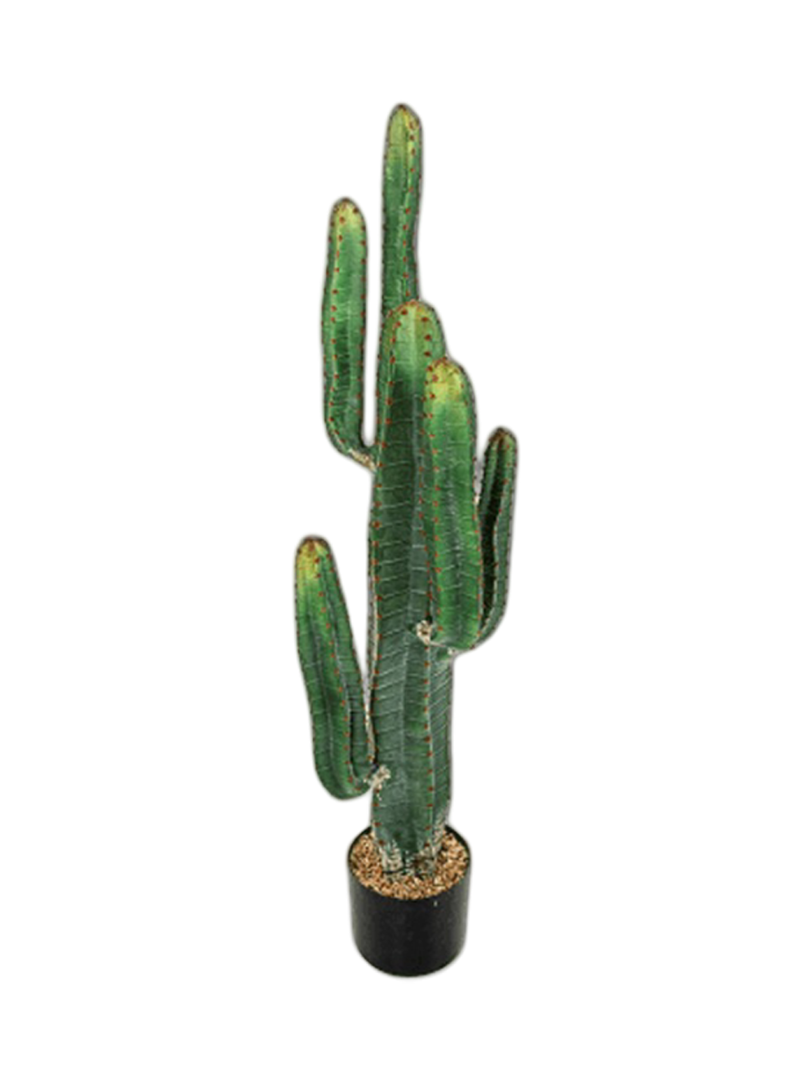 
Plante artificielle plus vraie que nature « Cactus Cereus », Ø 30 x 115 cm