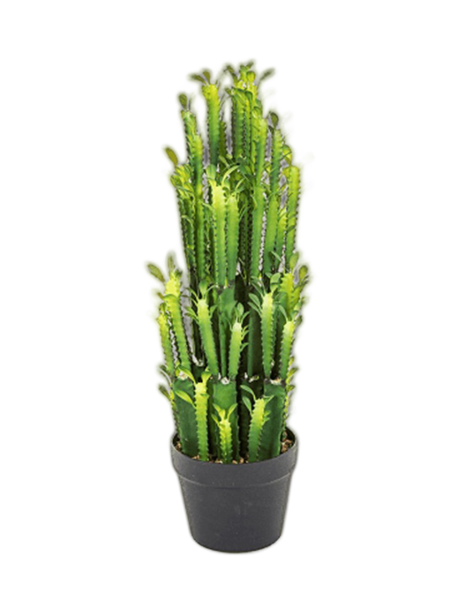 
Plante artificielle réaliste "Euphorbia Trigona Cactus", Ø 20 x 64 cm