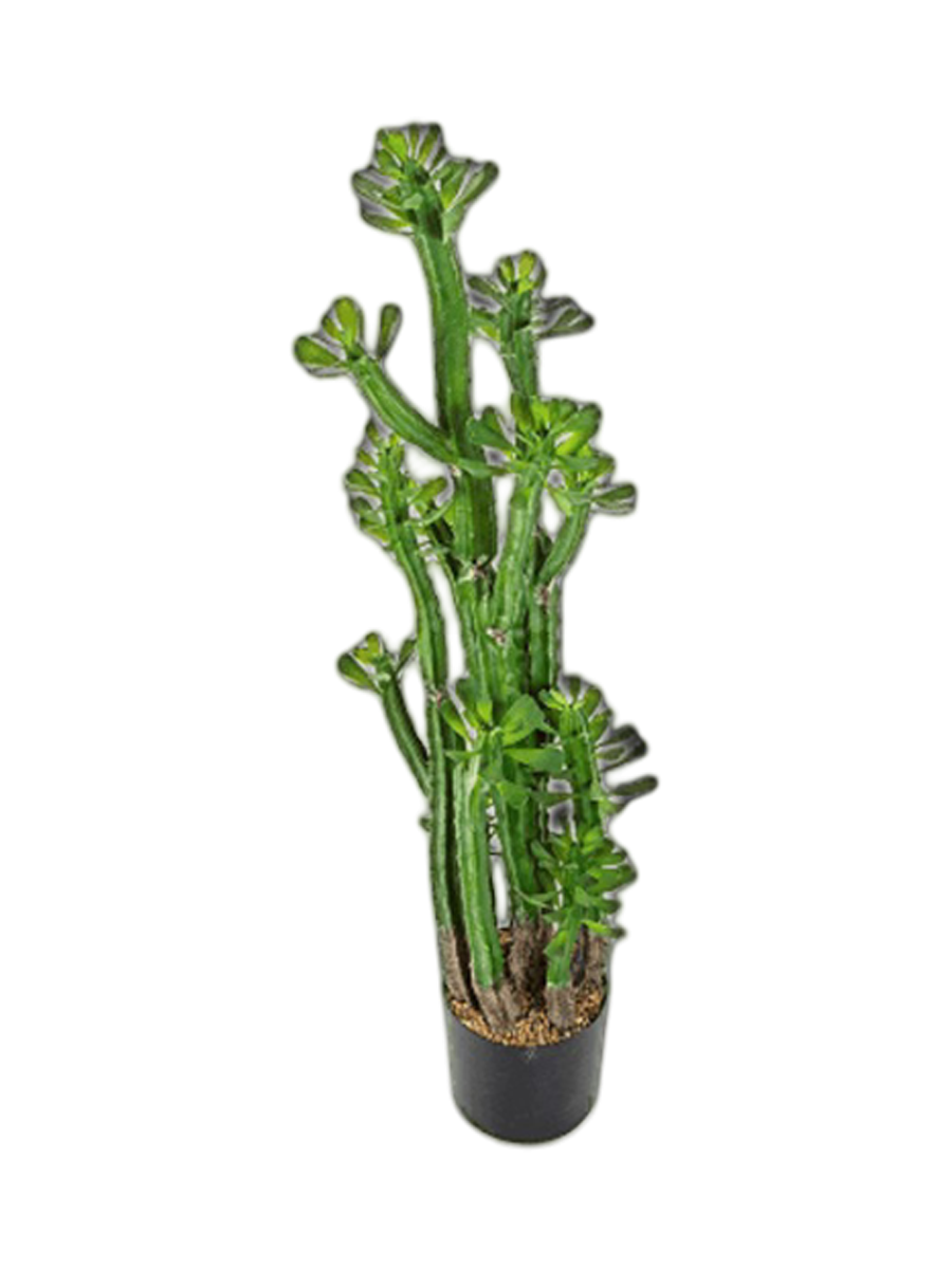 
Plante artificielle réaliste « Euphorbia Roylena Cactus », Ø 30 x 118 cm