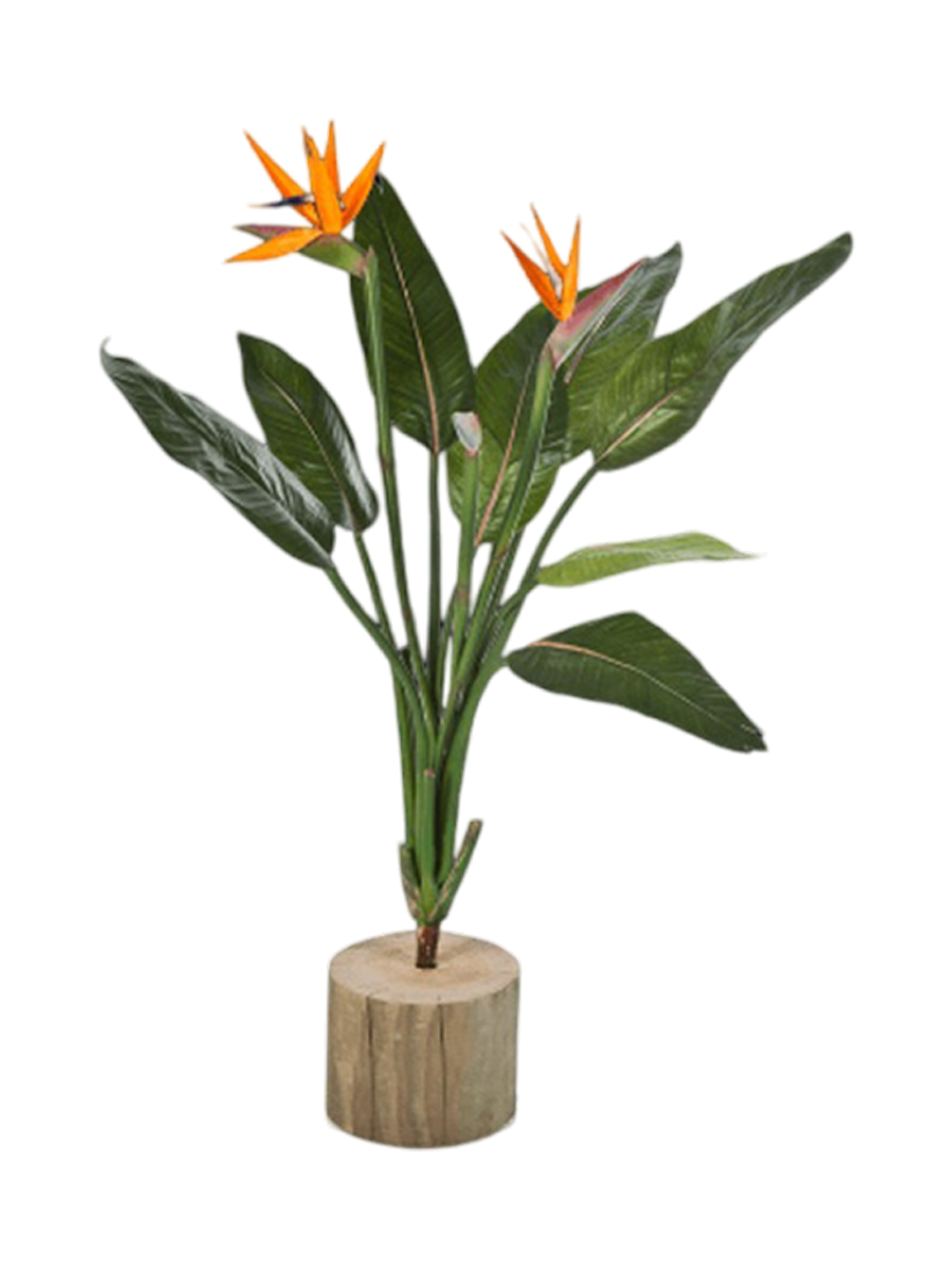 
Plante artificielle réaliste « Strelitzia Bush », hauteur 100 cm