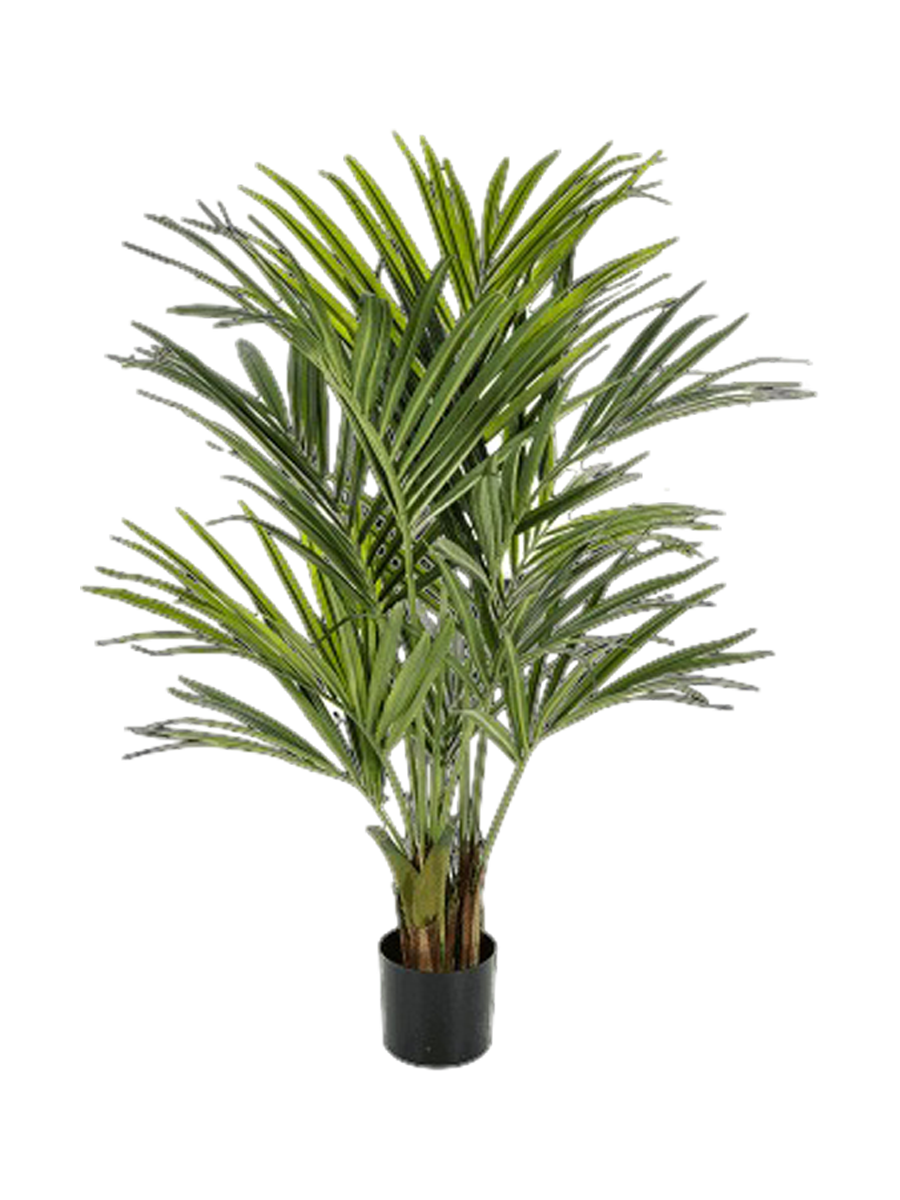 
Pianta artificiale realistica «Kentia Palm», diverse dimensioni - Altezza 140 cm