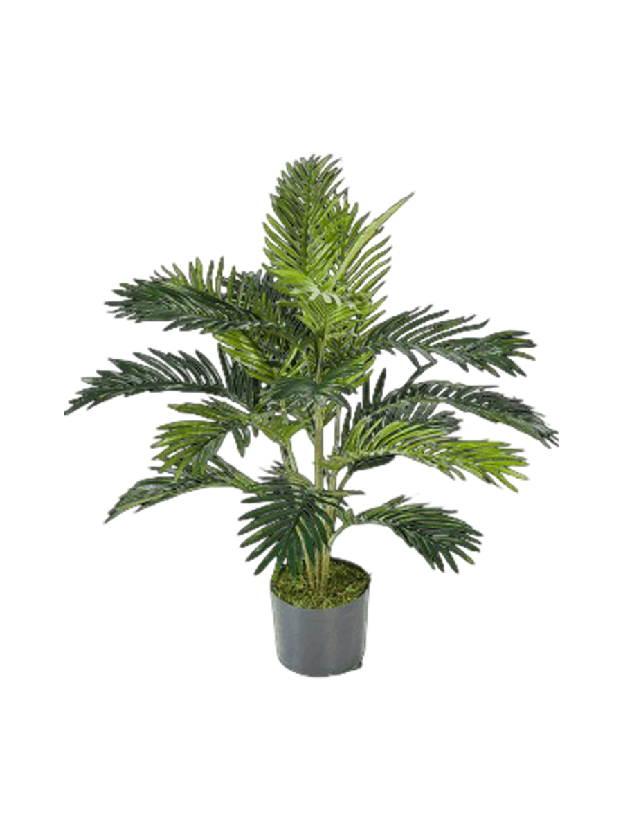 
Pianta artificiale dall'aspetto realistico «Areca Tuff», altezza 90 cm