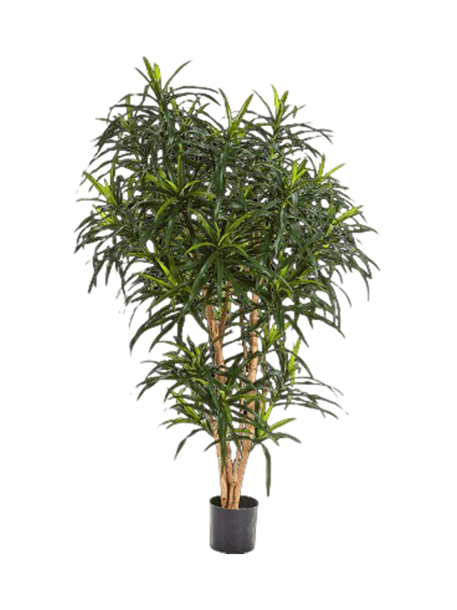 
Plante artificielle réaliste "Dracanea Reflexa Anita", différentes tailles - Hauteur 120 cm