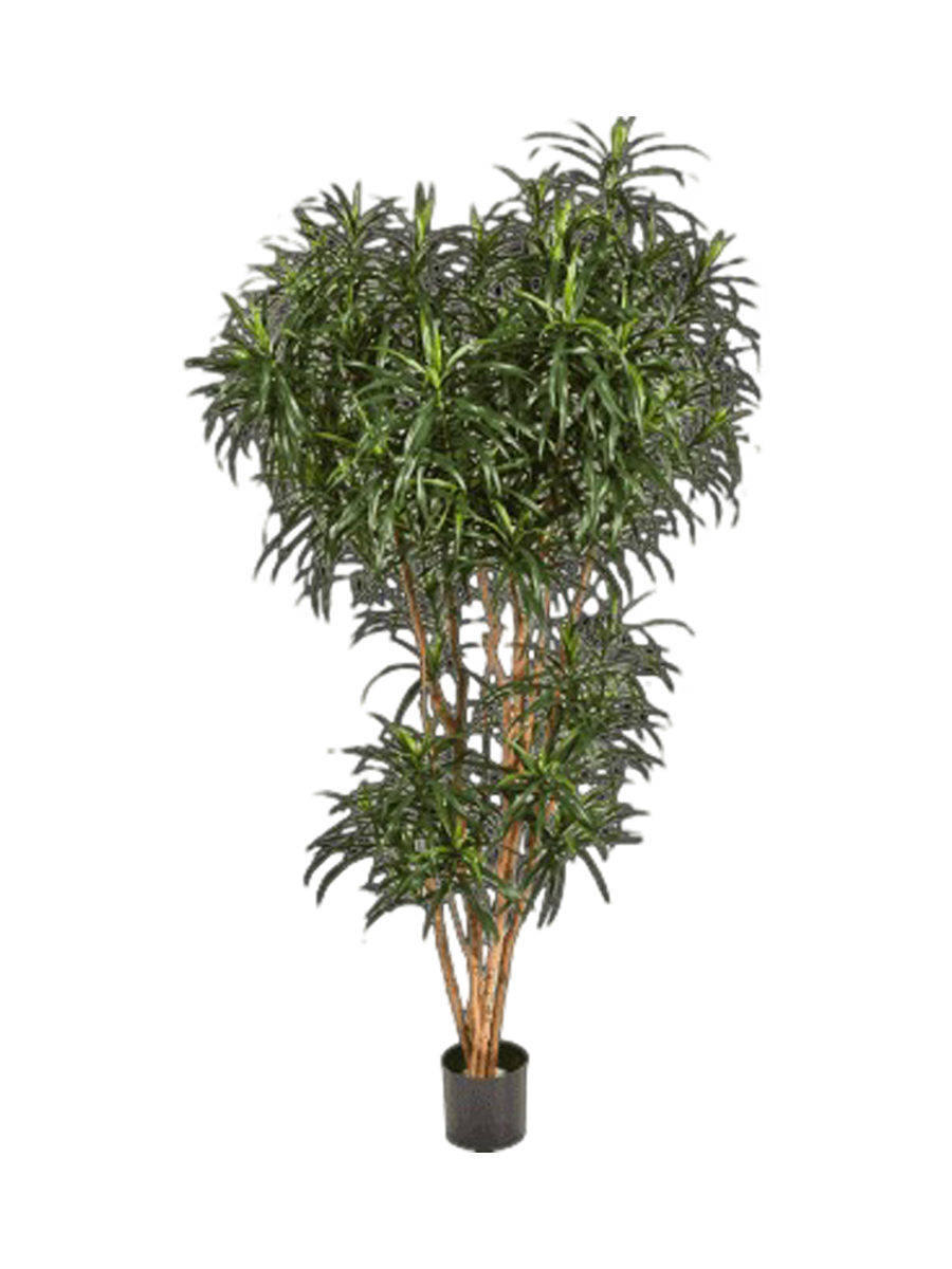 
Plante artificielle réaliste "Dracanea Reflexa Anita", différentes tailles - Hauteur 150 cm