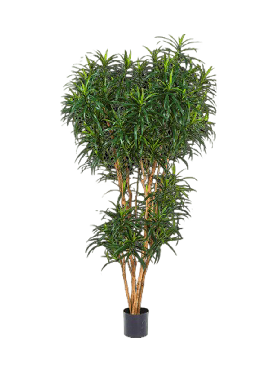 
Plante artificielle réaliste "Dracanea Reflexa Anita", différentes tailles - Hauteur 180 cm