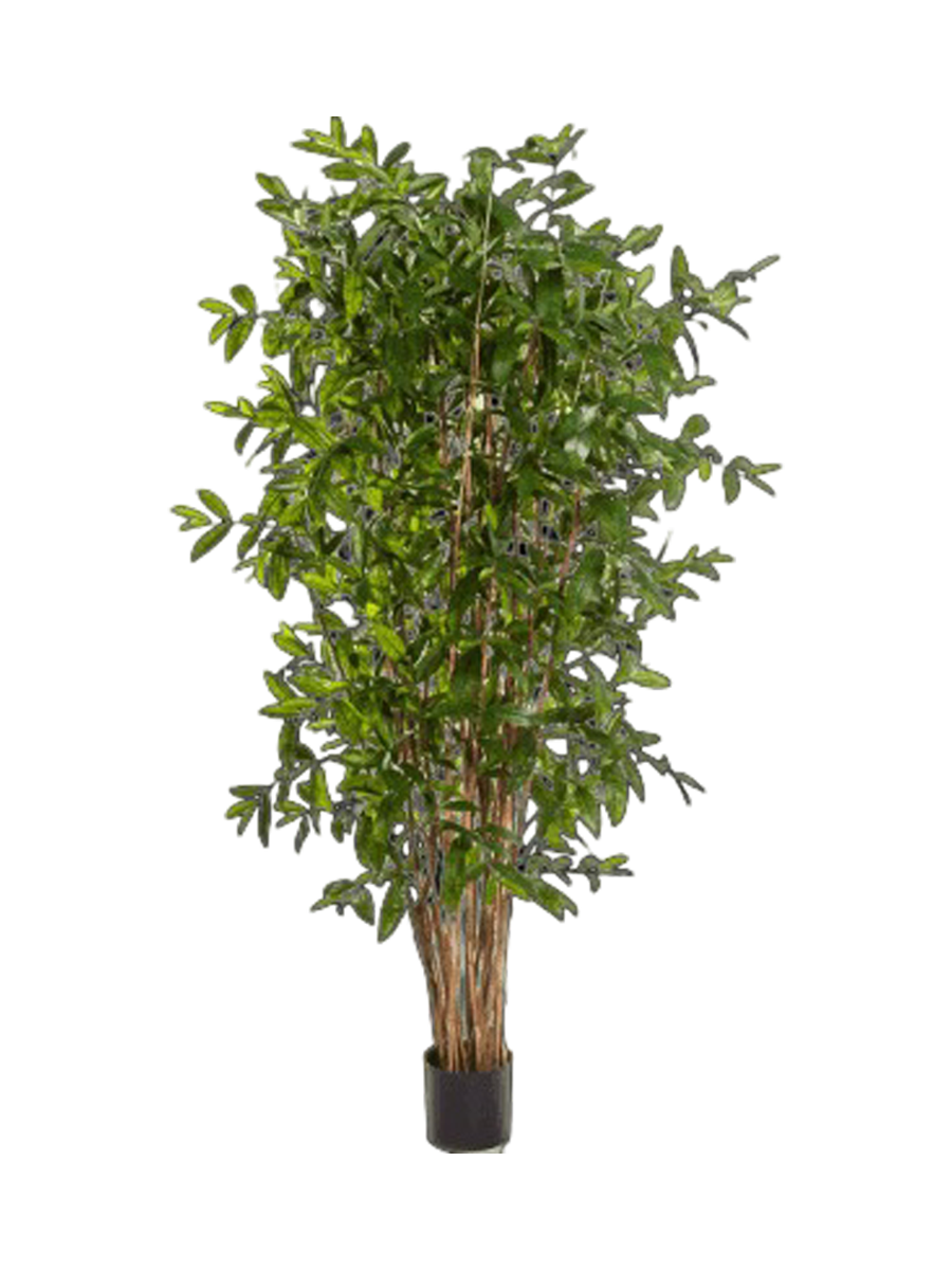 
Plante artificielle réaliste "Dracaena Surculosa", différentes tailles - Ø 60 x hauteur 150 cm