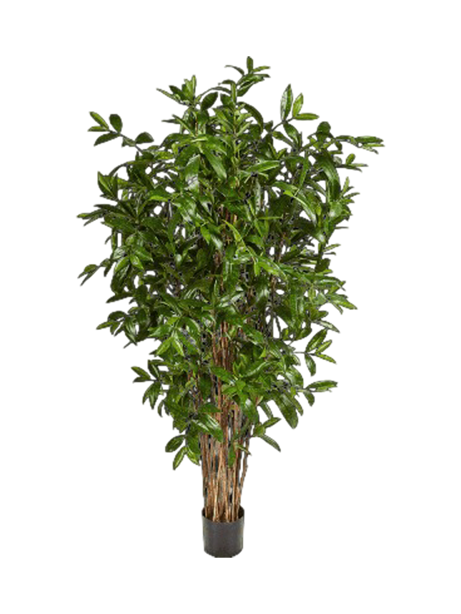 
Plante artificielle réaliste "Dracaena Surculosa", différentes tailles - Ø 70 x hauteur 180 cm