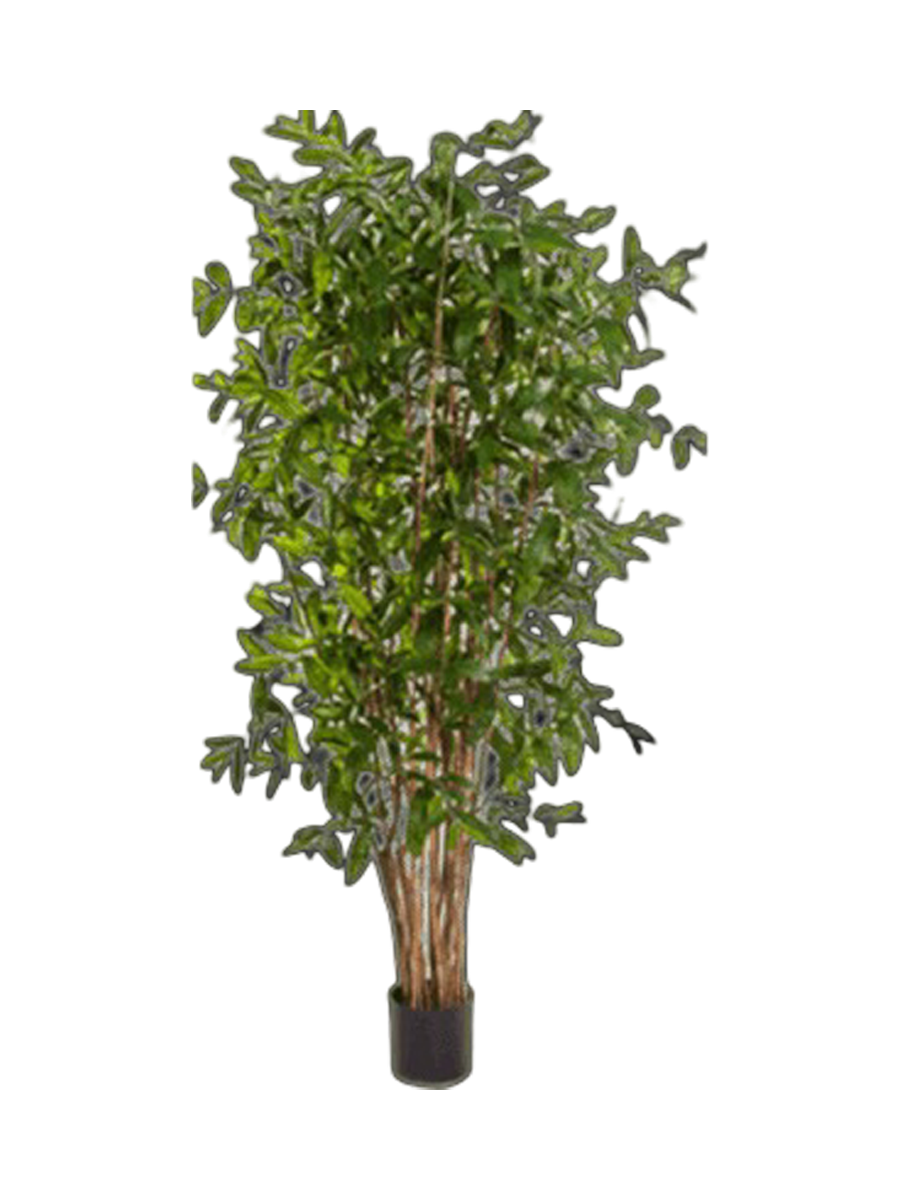 
Plante artificielle réaliste "Dracaena Surculosa", différentes tailles - Ø 100 x hauteur 240 cm