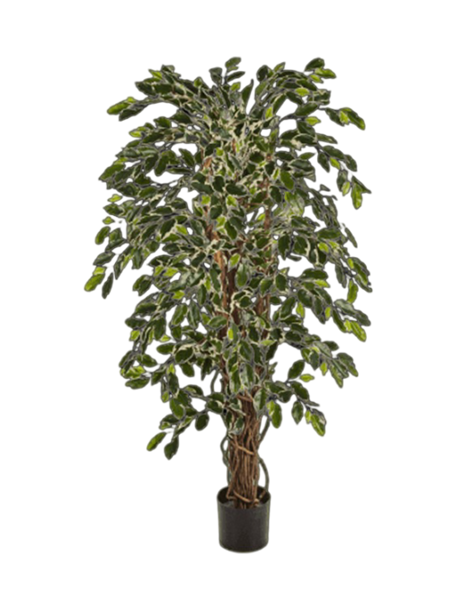 
Plante artificielle réaliste "Ficus Hawaiian Liana Branched", différentes tailles - Hauteur 120 cm