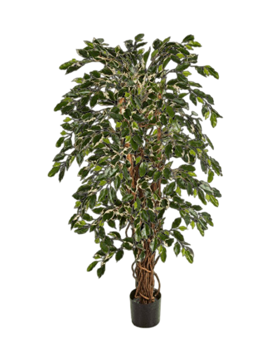 
Plante artificielle réaliste "Ficus Liana Branched", différentes tailles - Hauteur 180 cm