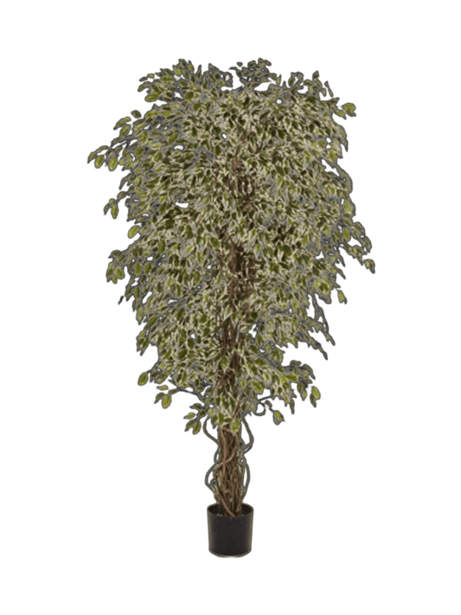 
Plante artificielle réaliste « Hawaiian Liana Branched », différentes tailles - Hauteur 90 cm