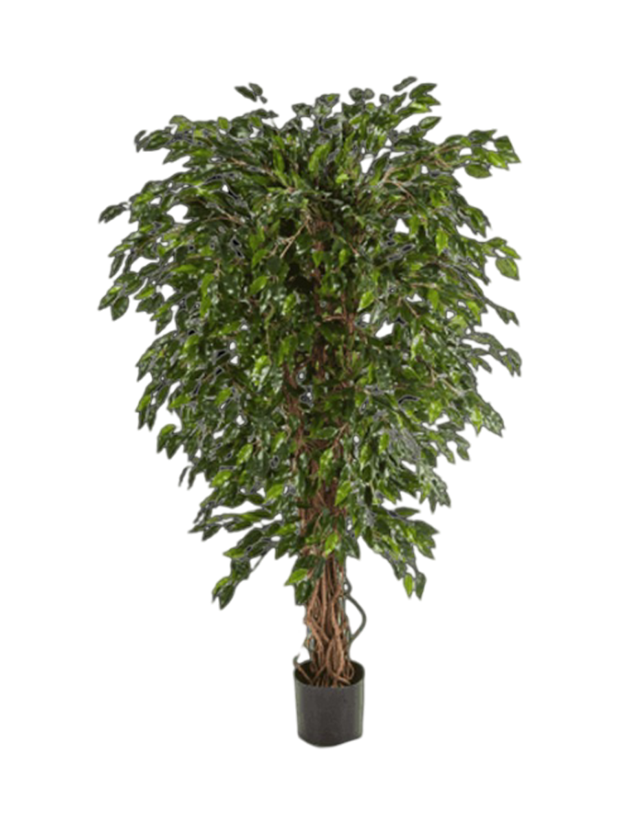 
Plante artificielle réaliste "Ficus Hawaiian Liana", différentes tailles - Hauteur 180 cm