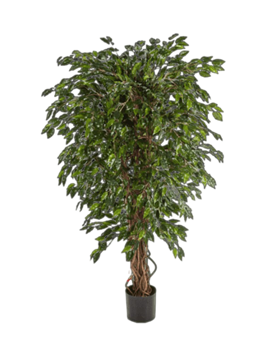 
Plante artificielle réaliste "Ficus Hawaiian Liana", différentes tailles - Hauteur 210 cm