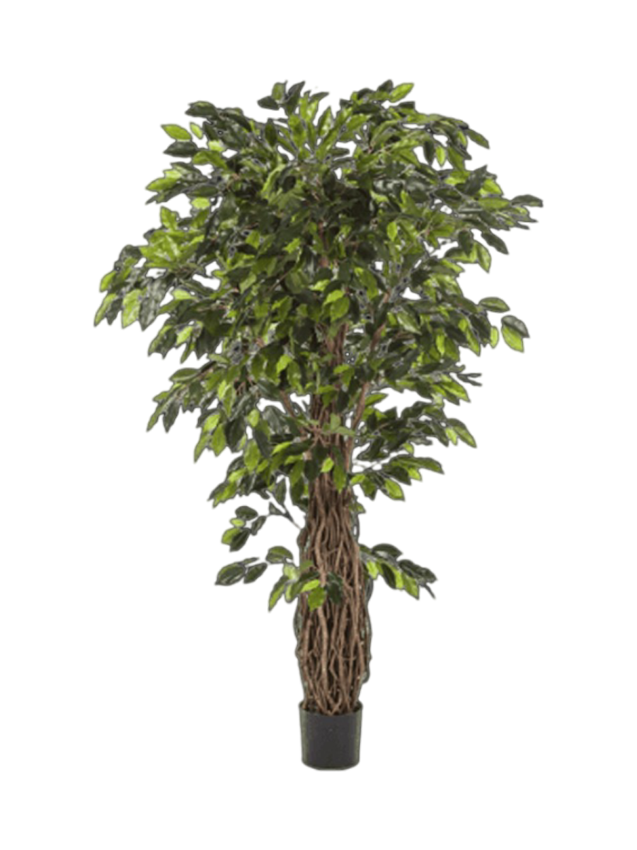 
Plante artificielle réaliste "Ficus Liana Branched", différentes tailles - Hauteur 210 cm