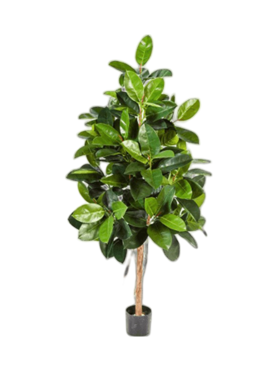 
Plante artificielle réaliste « Ficus Elastica Tree » Ø 65 x 140 cm