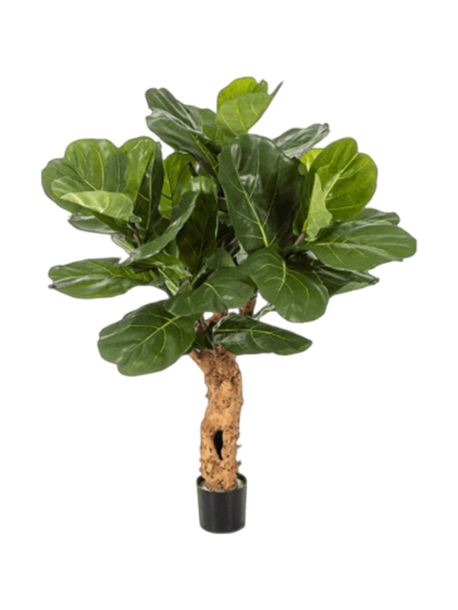 
Plante artificielle réaliste « Ficus Lyrata Trunk »