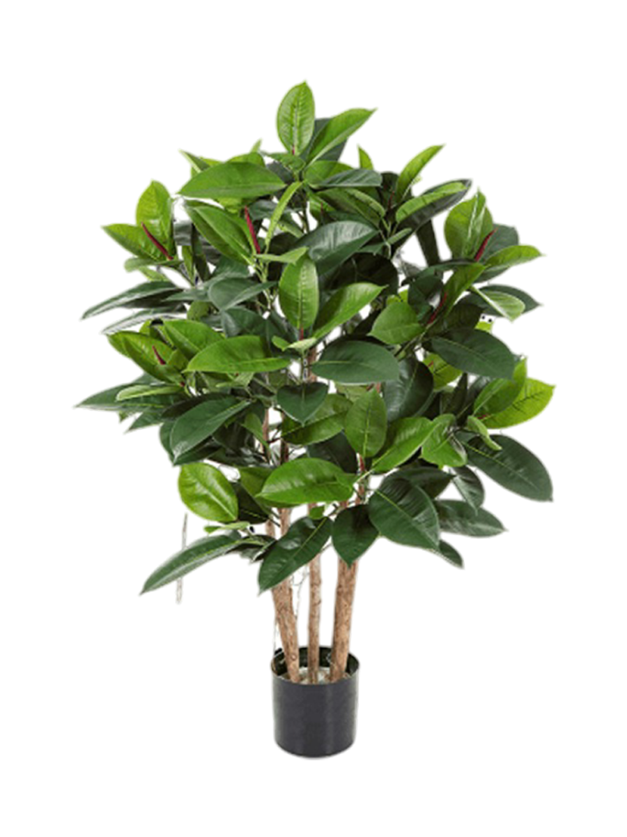 
Plante artificielle réaliste « Ficus Elastica Ramifié »