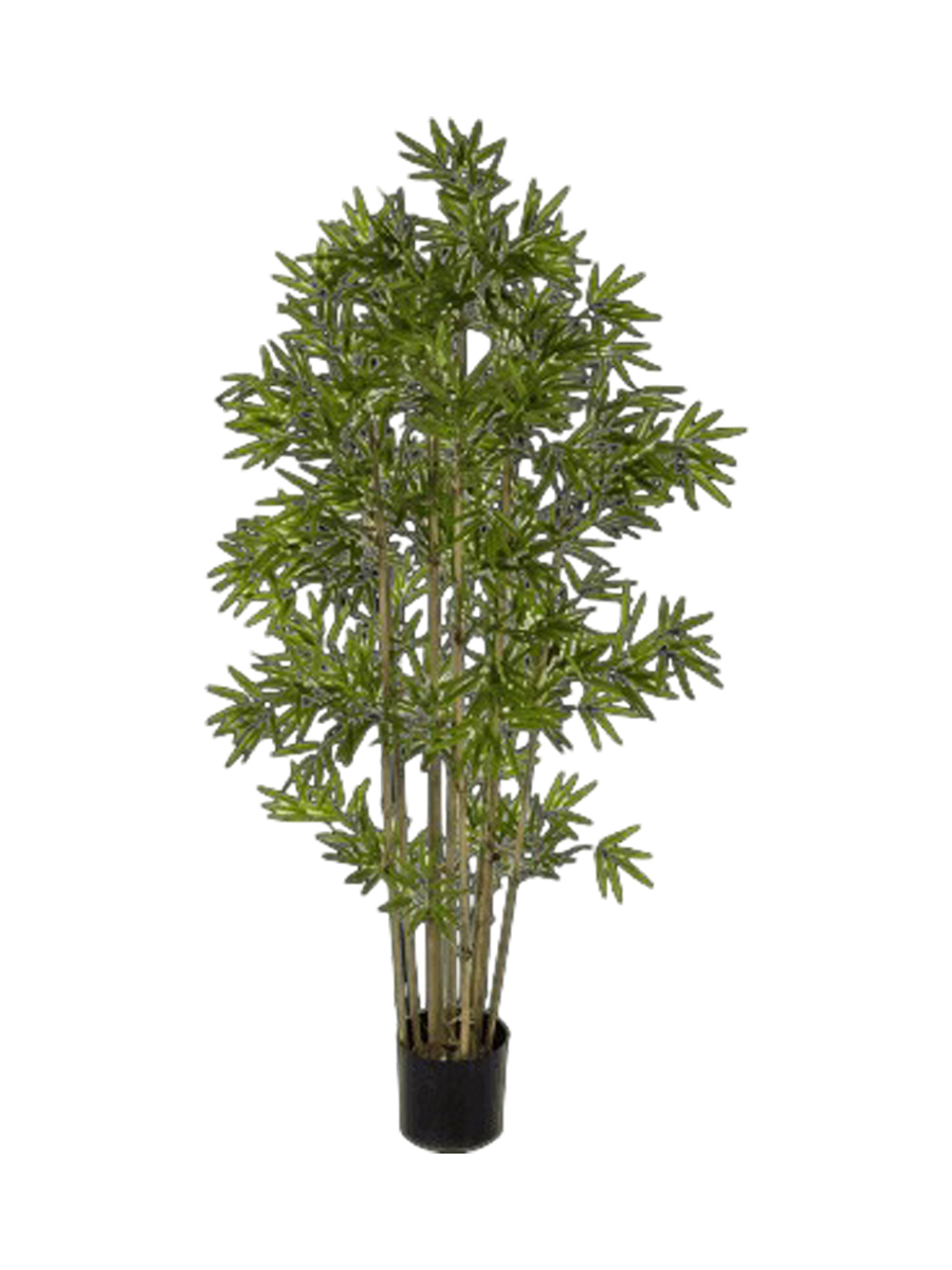
Pianta artificiale dall'aspetto realistico «Bamboo Japanese», diverse dimensioni - Ø 65 x 200 cm