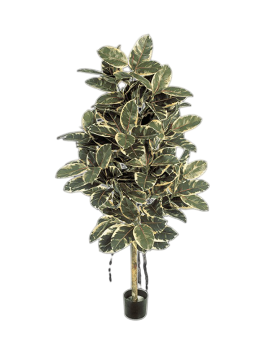 
Plante artificielle réaliste "Ficus Elastica Variegated Tree" Ø 65 x 140 cm
