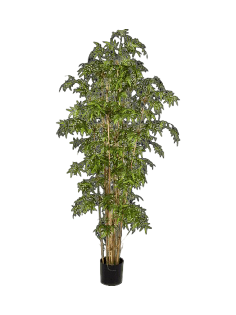 
Pianta artificiale dall'aspetto realistico «Bamboo Japanese», diverse dimensioni - Altezza 110 cm
