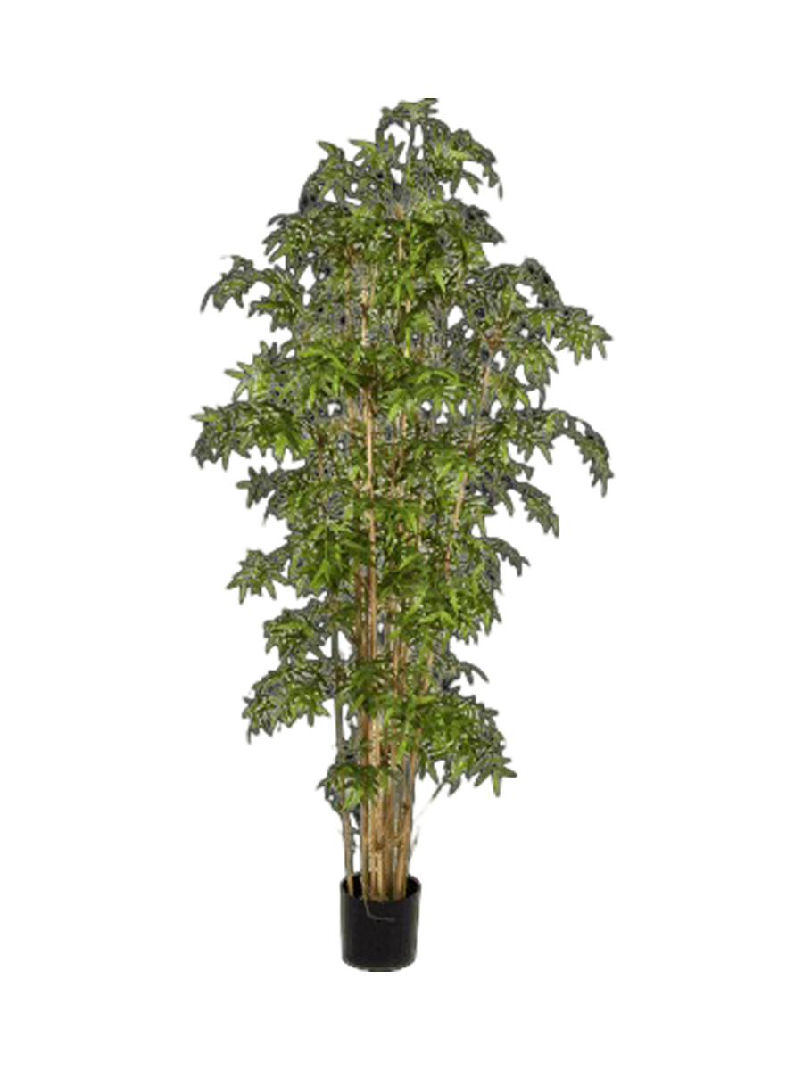 
Pianta artificiale dall'aspetto realistico «Bamboo Japanese», diverse dimensioni - Altezza 140 cm