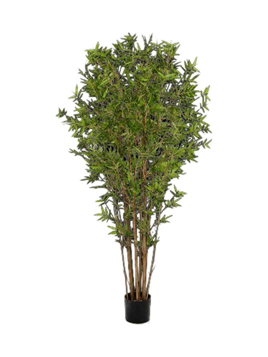 
Plante artificielle réaliste « Bambou japonais oriental », différentes tailles - Hauteur 180 cm