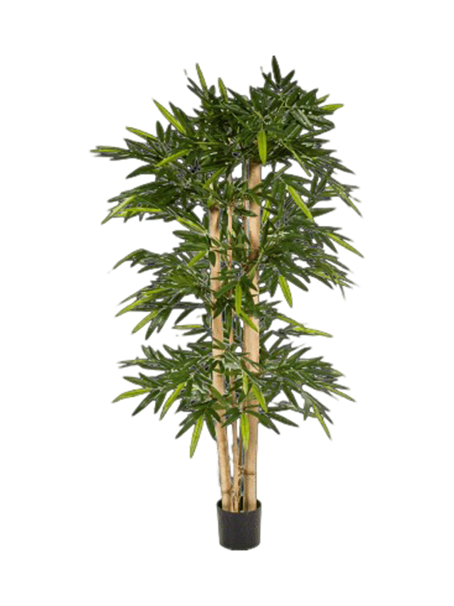 
Pianta artificiale dall'aspetto realistico «Bamboo New Giant», diverse dimensioni - Altezza 150 cm