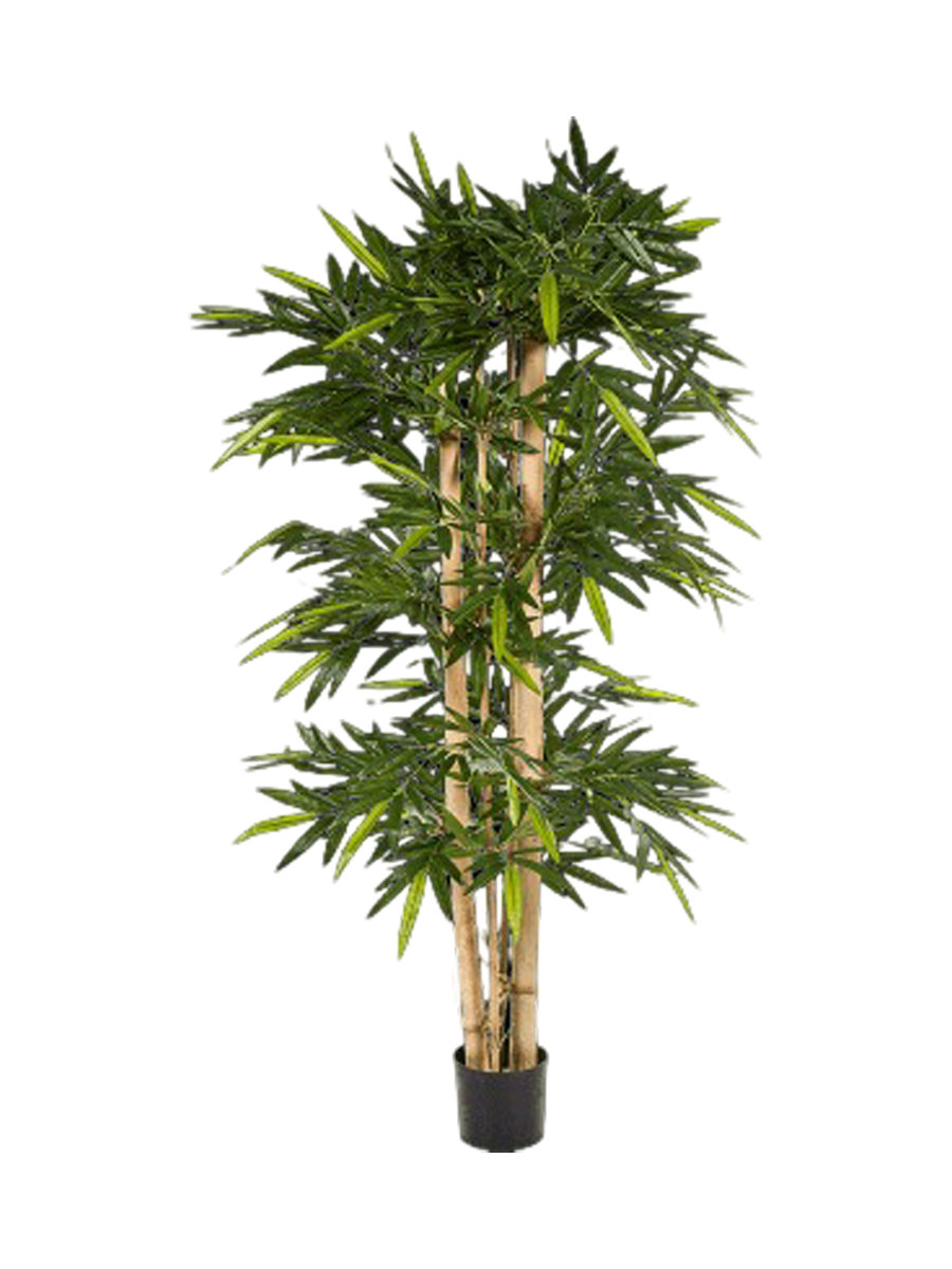 
Pianta artificiale dall'aspetto realistico «Bamboo New Giant», diverse dimensioni - Altezza 180 cm