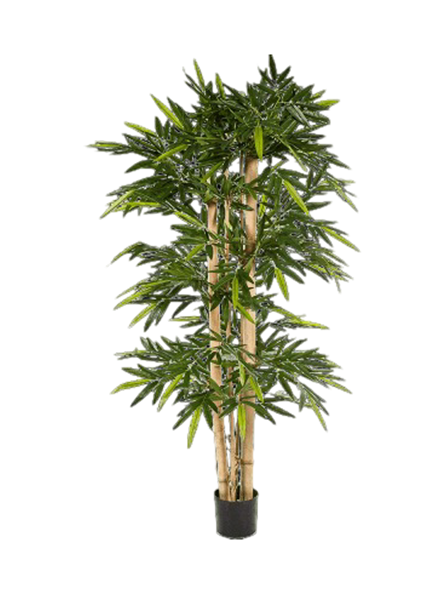 
Pianta artificiale dall'aspetto realistico «Bamboo New Giant», diverse dimensioni - Altezza 210 cm