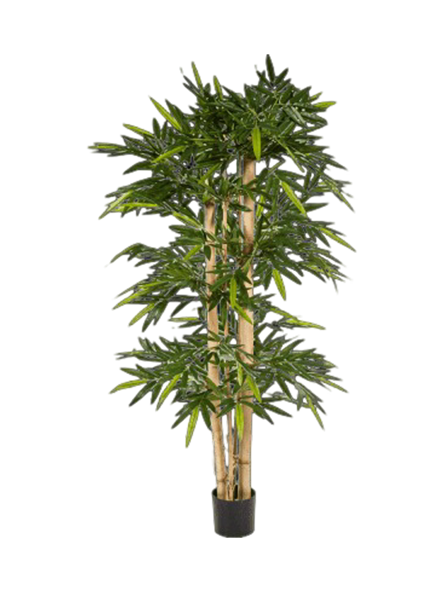 
Pianta artificiale dall'aspetto realistico «Bamboo New Giant», diverse dimensioni - Altezza 240 cm