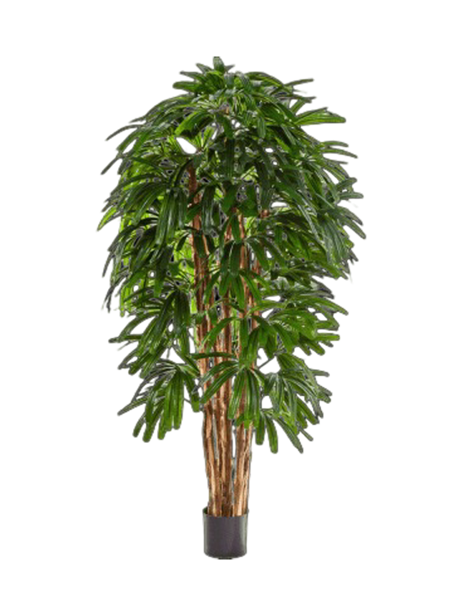 
Pianta artificiale realistica «Rhapis Tuft», diverse dimensioni - Ø 60 x 120 cm