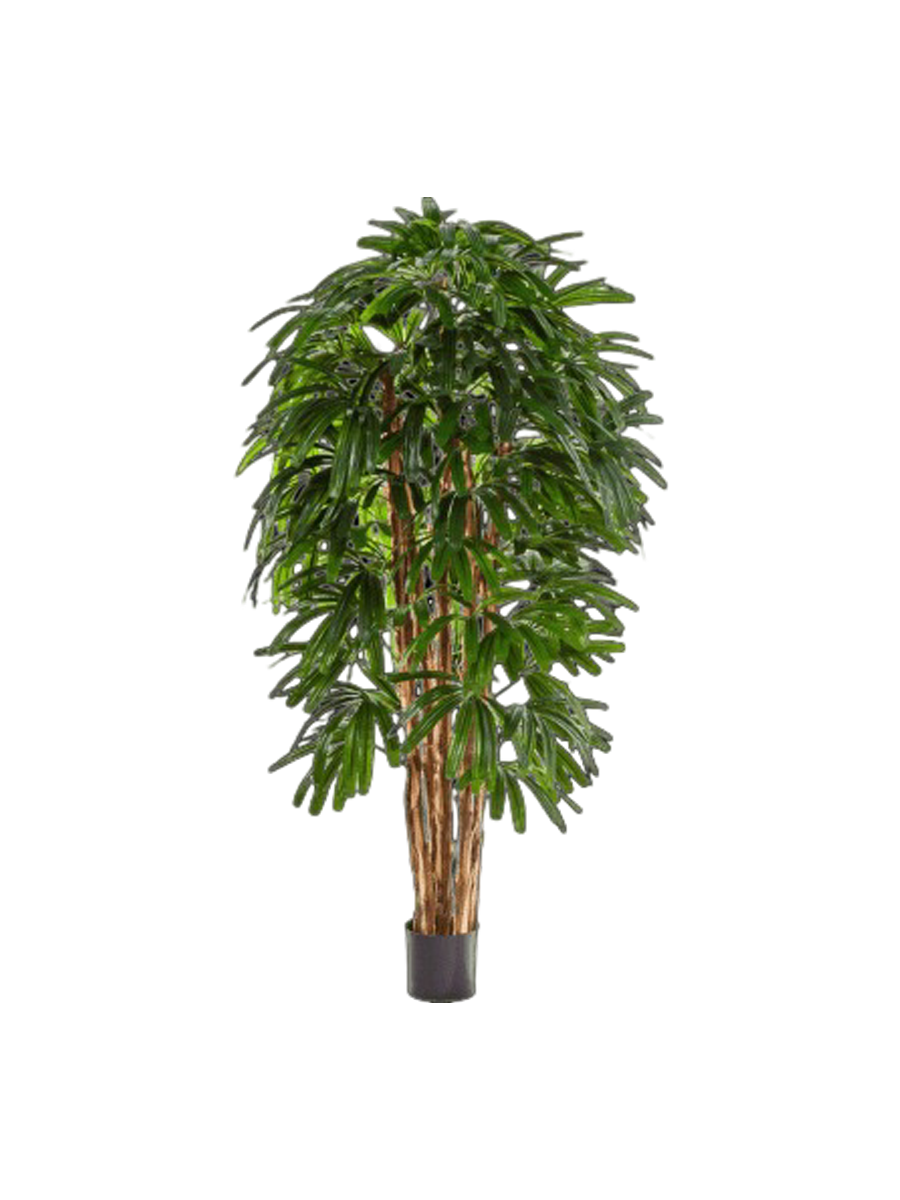 
Pianta artificiale realistica «Rhapis Tuft», diverse dimensioni - Ø 70 x 150 cm