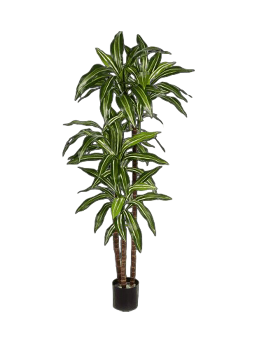 
Plante artificielle réaliste "Dracaena Fragrans", différentes tailles - Hauteur 120 cm