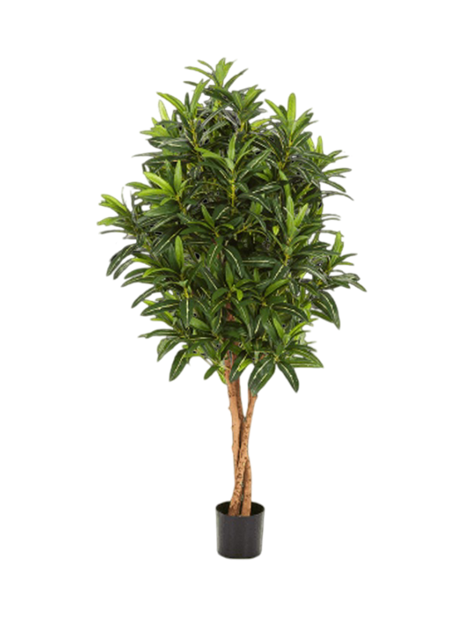 
Plante artificielle réaliste « Croton Goldfinger », différentes tailles - Ø 50 x 125 cm