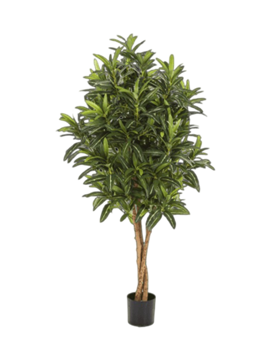
Pianta artificiale realistica «Croton Goldfinger», Ø 45/ altezza 125 cm