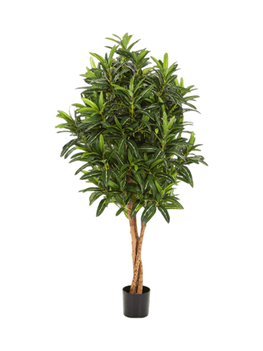 
Plante artificielle réaliste « Croton Goldfinger », différentes tailles - Ø 50 x 155 cm