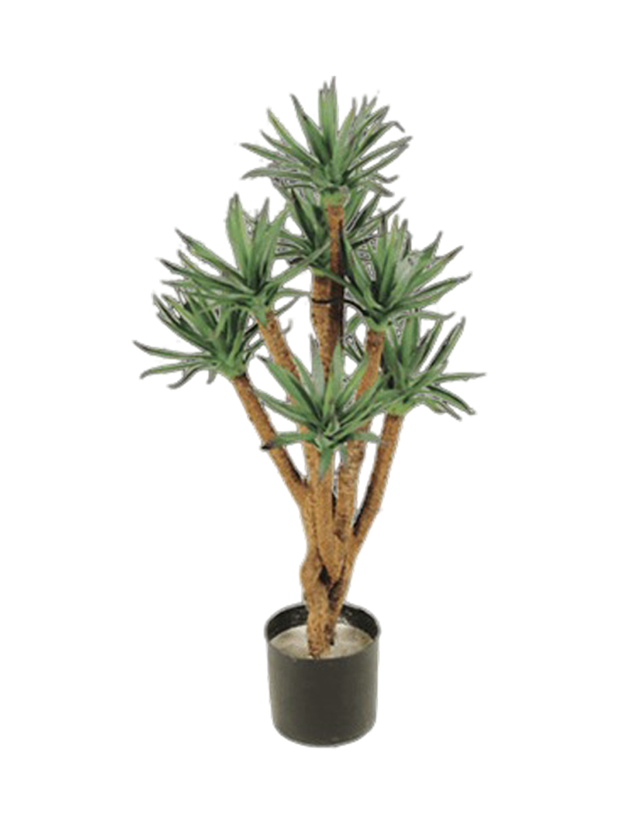 
Pianta artificiale dall'aspetto realistico «Agave Tree» - Altezza 70 cm