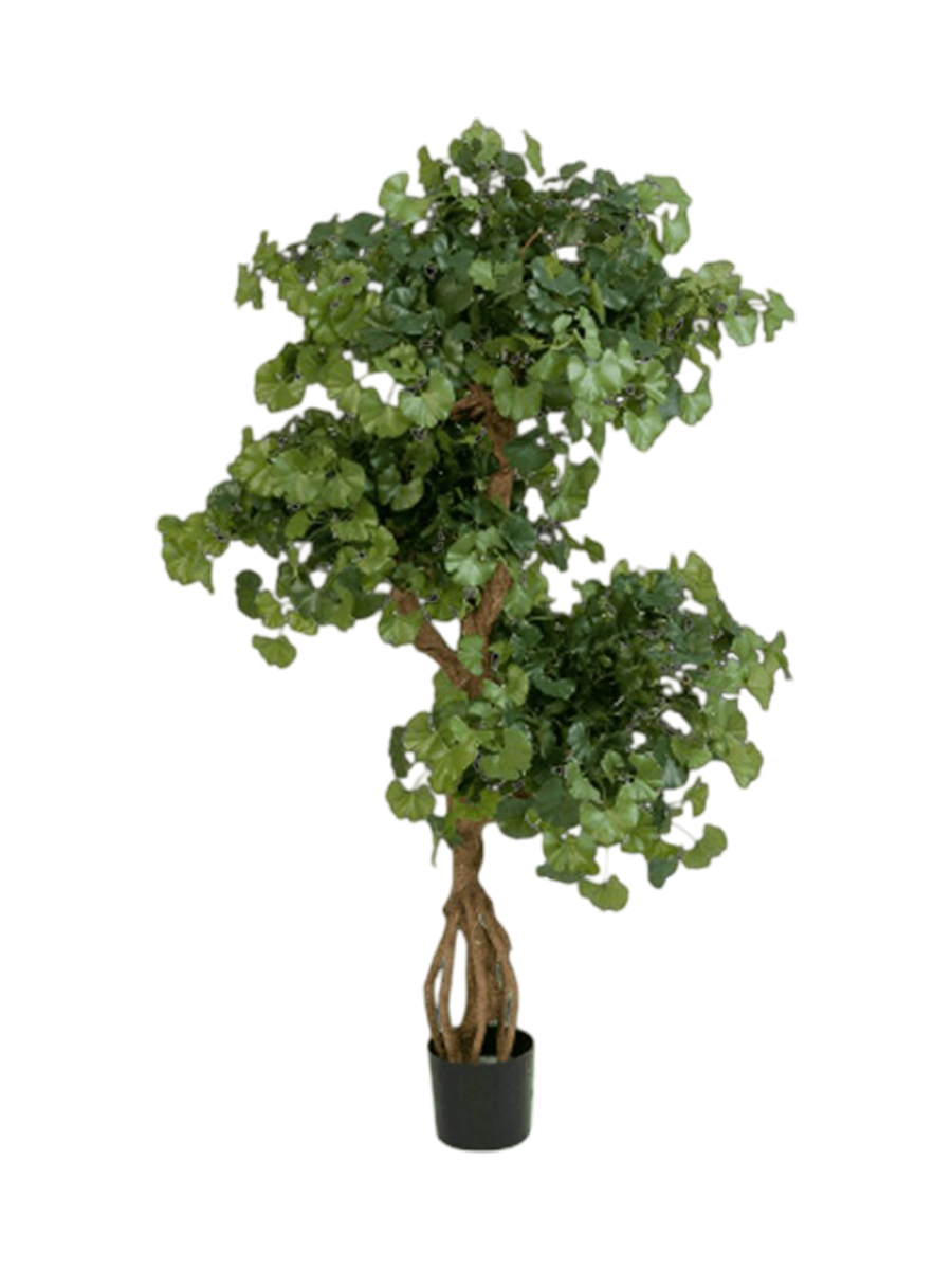 
Plante artificielle réaliste "Ginkgo Biloba", hauteur 145 cm