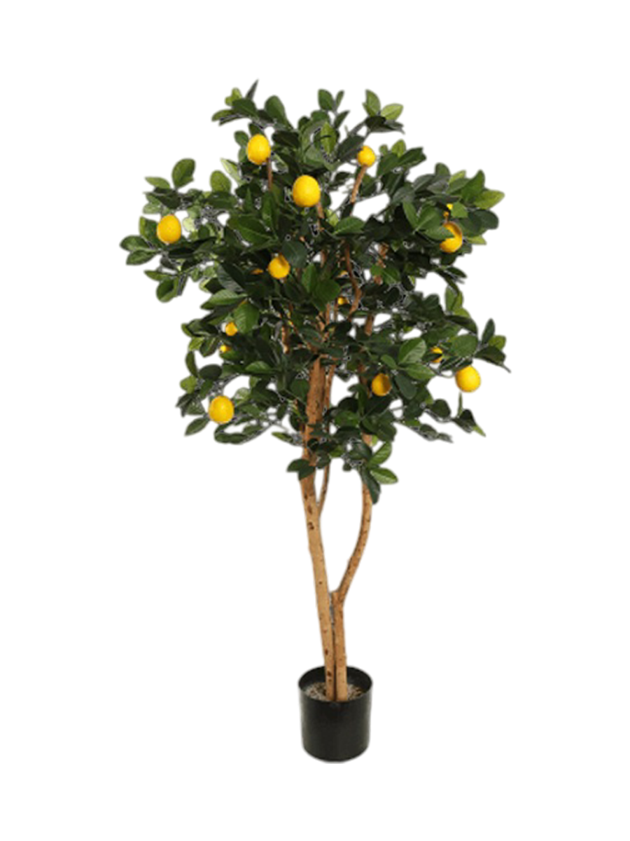 
Plante artificielle réaliste "Golden Lemon Tree", Ø 70 x 150 cm