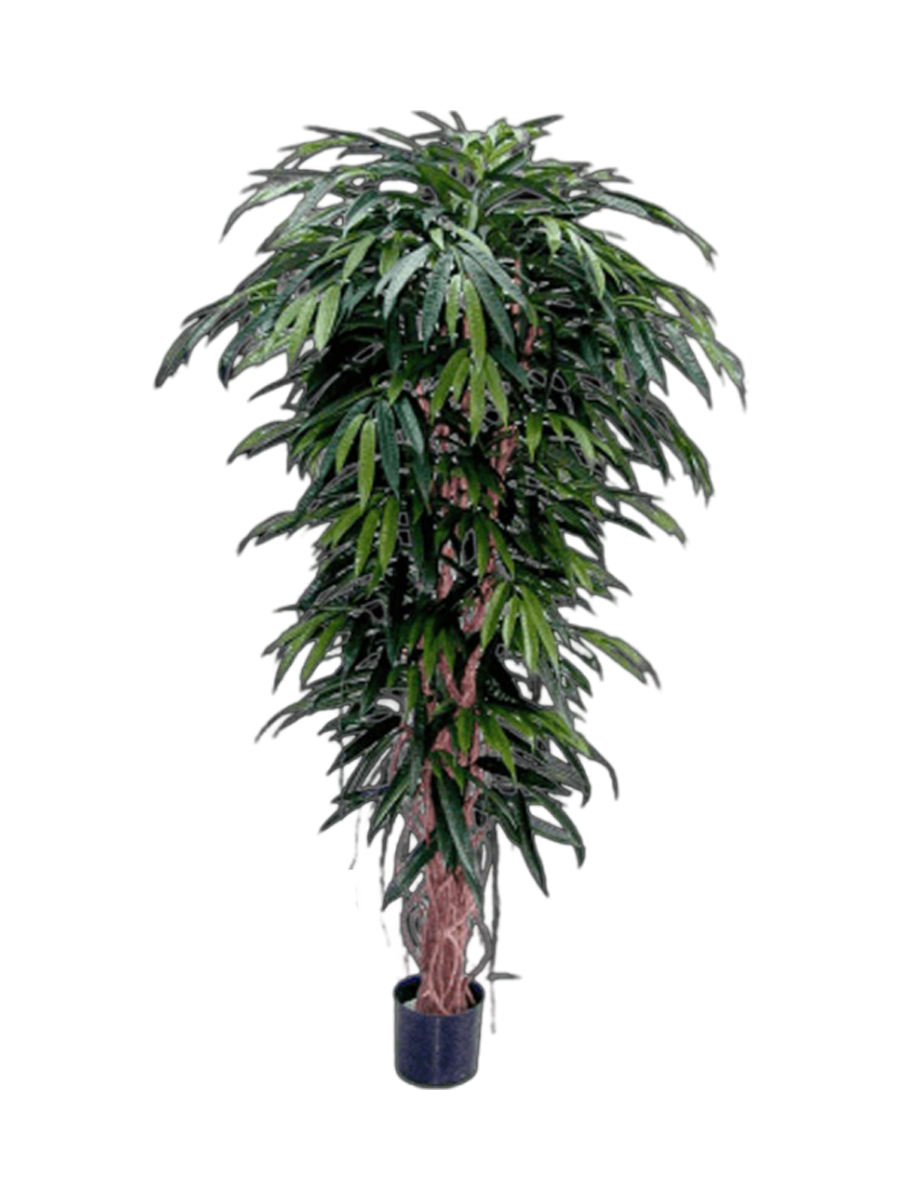 
Plante artificielle réaliste "Longifolia XL", différentes tailles - Ø 70 x 180 cm