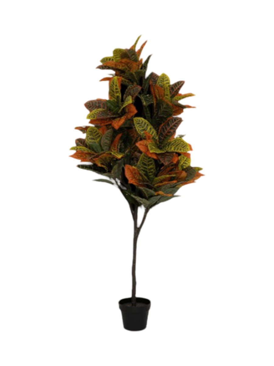 
Plante artificielle réaliste « Codiaeum », différentes tailles - Hauteur 118 cm