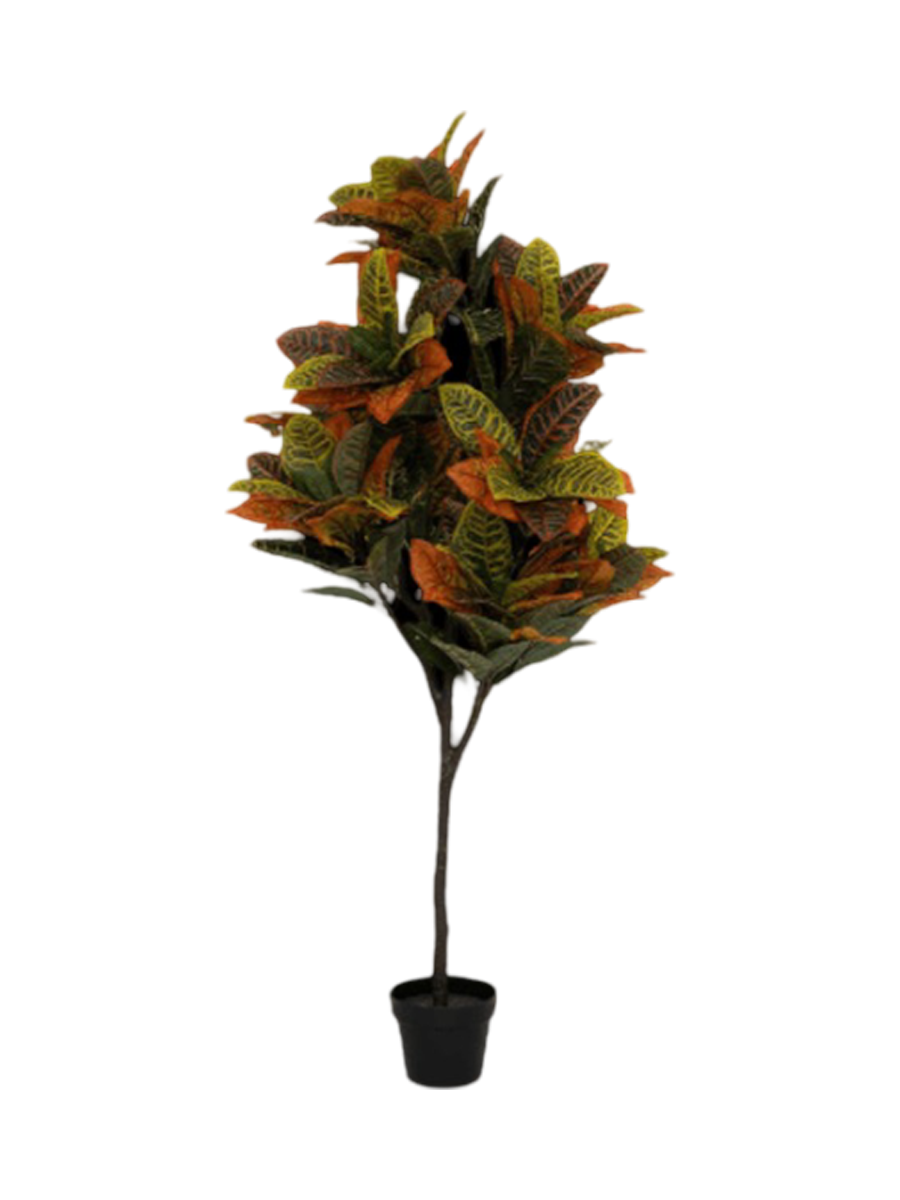 
Plante artificielle réaliste « Codiaeum », différentes tailles - Hauteur 150 cm