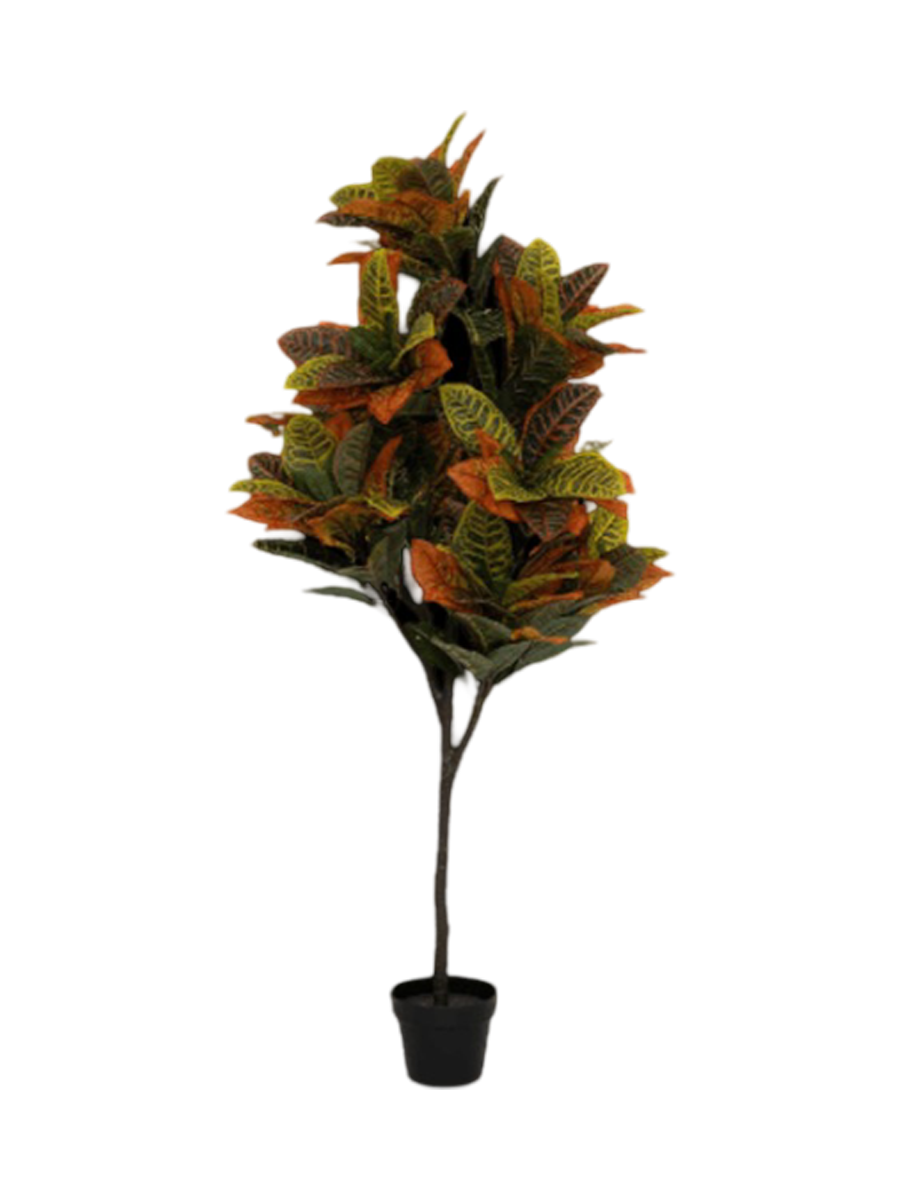 
Plante artificielle réaliste « Codiaeum », différentes tailles - Hauteur 80 cm