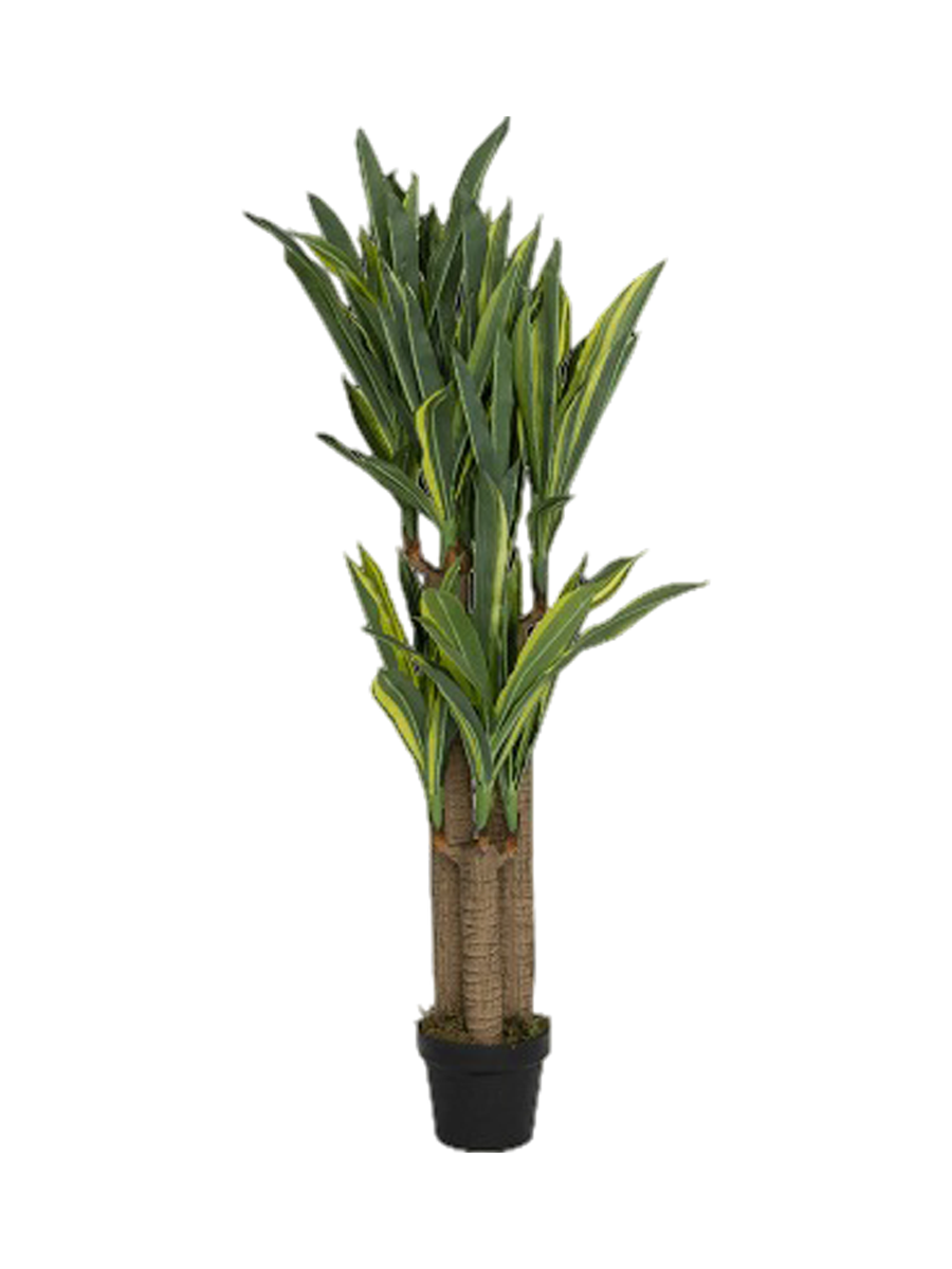 
Plante artificielle réaliste "Dracenea", différentes tailles - Hauteur 120 cm