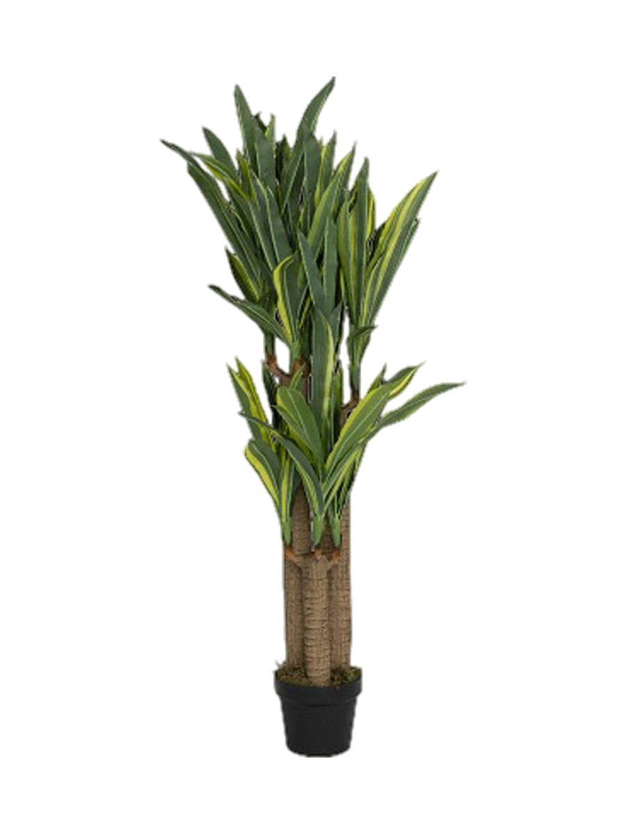
Plante artificielle réaliste "Dracenea", différentes tailles - Hauteur 145 cm