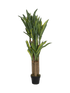 IMAGE for product variant SKU 8PPZ10234