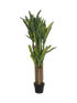 IMAGE for product variant SKU 8PPZ10238