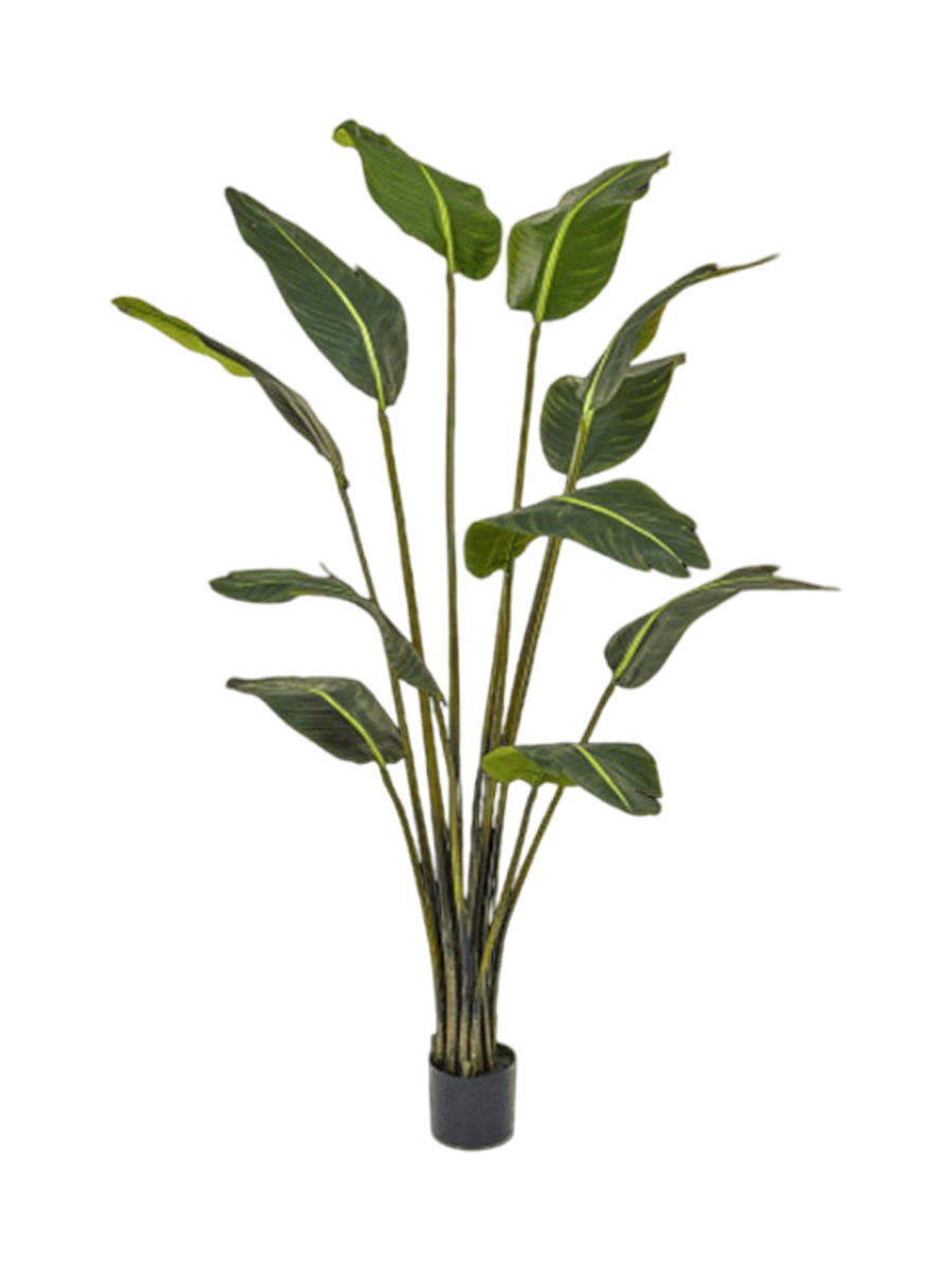 
Plante artificielle réaliste « Strelitzia Bird of Paradise », hauteur 180 cm